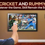 Cricket and Rummy! A lot of skill but a small bit of chance?