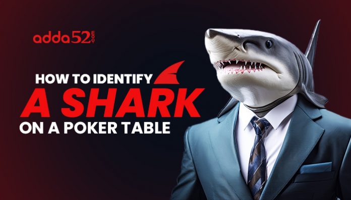 How to Identify a Shark on a Poker Table