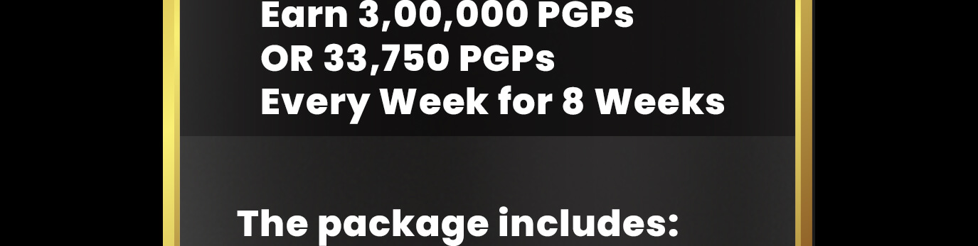 package-vegas8